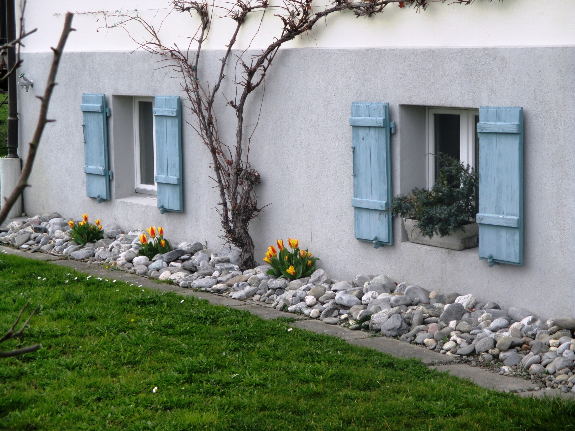 Essential Details for Landlords Regarding Section 8 Housing